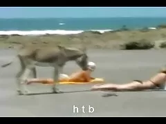 Szkolenie dziewczyn na temat darmowe filmiki s seksu analnego.