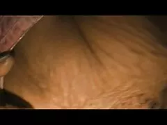Krótkie dojrzałe darmowe filmy włosy piękna brunetka w różowych pończochach zabawy